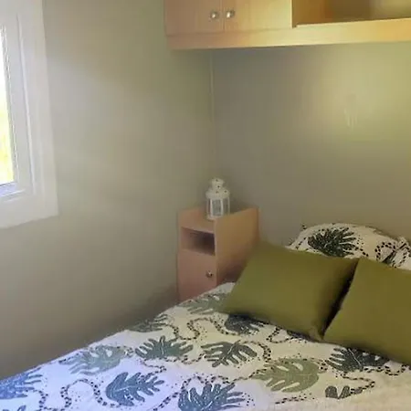 Mobil Home, Animaux Admis - 4 Pers. - Api-1-52-2973 营地 Estaing (Hautes-Pyrenees)