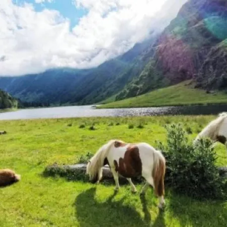 Mobil Home, Animaux Admis - 4 Pers. - Api-1-52-2973 Estaing (Hautes-Pyrenees)